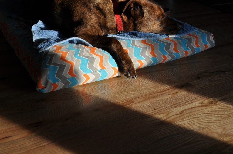 tuckered out after at.1.jpg